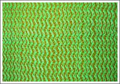 Plastic Agricultural Netting