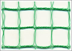 Green Color Plastic Mesh for Plant Protection Against Birds