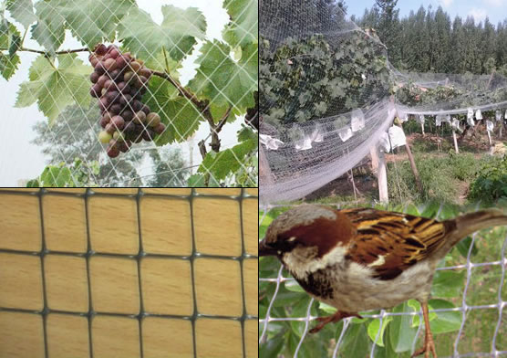 Stretched Plastic Mesh for Bird Control