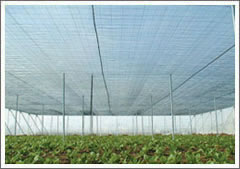 Knitted Shading Windbreaking Net