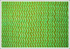 Plastic Agricultural Netting