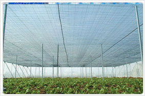 Windbreak Shade Netting
