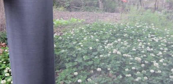 PVC Insect Netting Square Hole Window Screen Fabric